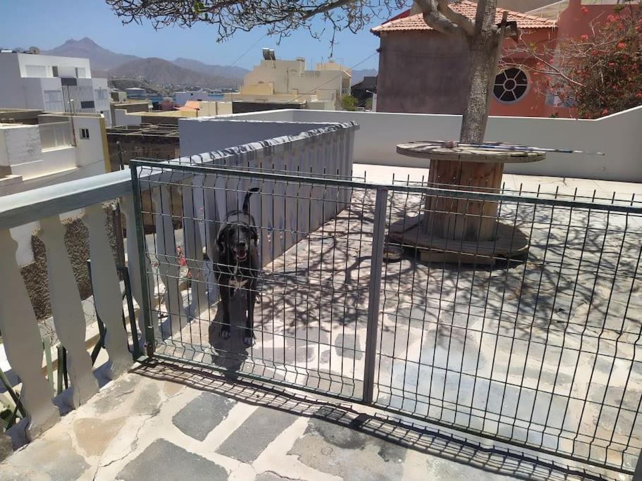 Villa Vivenda Com Patio, No Coracao Do Mindelo Esterno foto